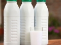 plastic-distributor-12